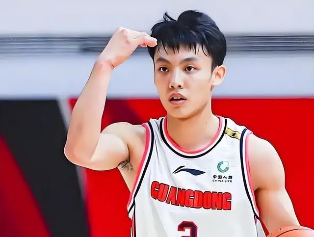 植物光合作用过程图 植物光合作用过程图